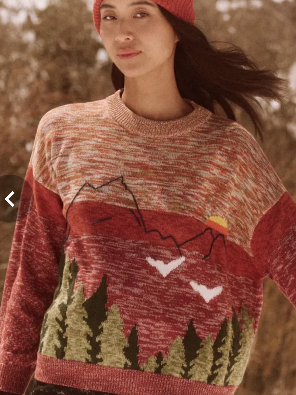 The Great Outdoors by THE GREAT. Scenic Mountain Crewneck Sweater - NEW - Picture 2 of 6